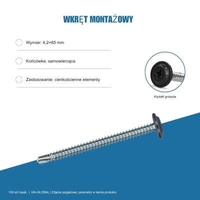 Wkręt montażowy Info-GLOBAL MB 4,2×65 mm, kolory RAL, 100 szt.